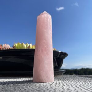 Roževec | Lotus4u.si