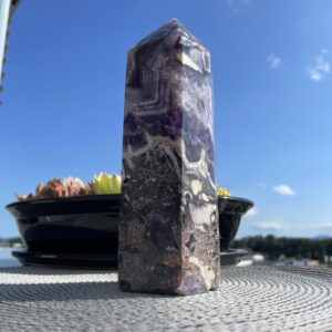 Ametist | Lotus4u.si Zaključek nakupa