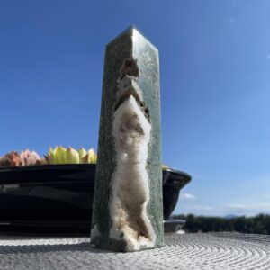 Mahov Ahat | Lotus4u.si