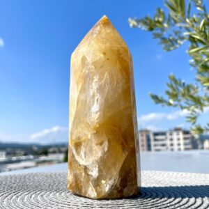 Zlati zdravilec | Lotus4u.si