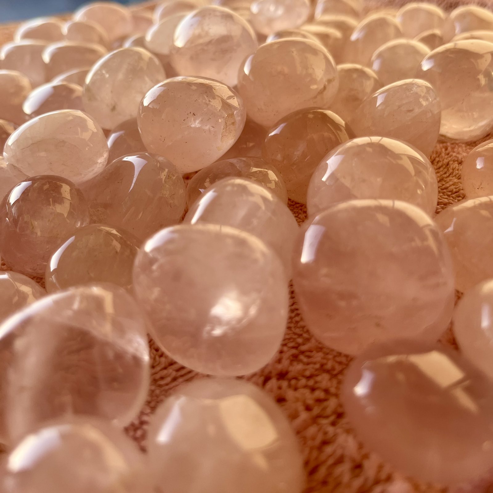 Roževec | Lotus4u.si